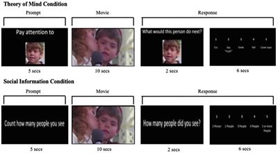 The Neural Basis of Social Cognition in Typically Developing Children and Its Relationship to Social Functioning